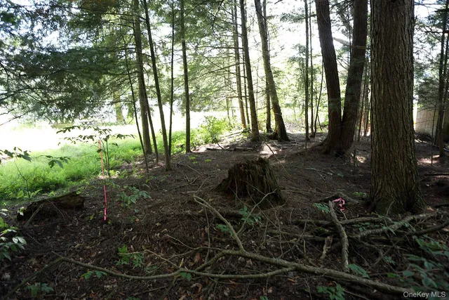 a view of backyard with green space
