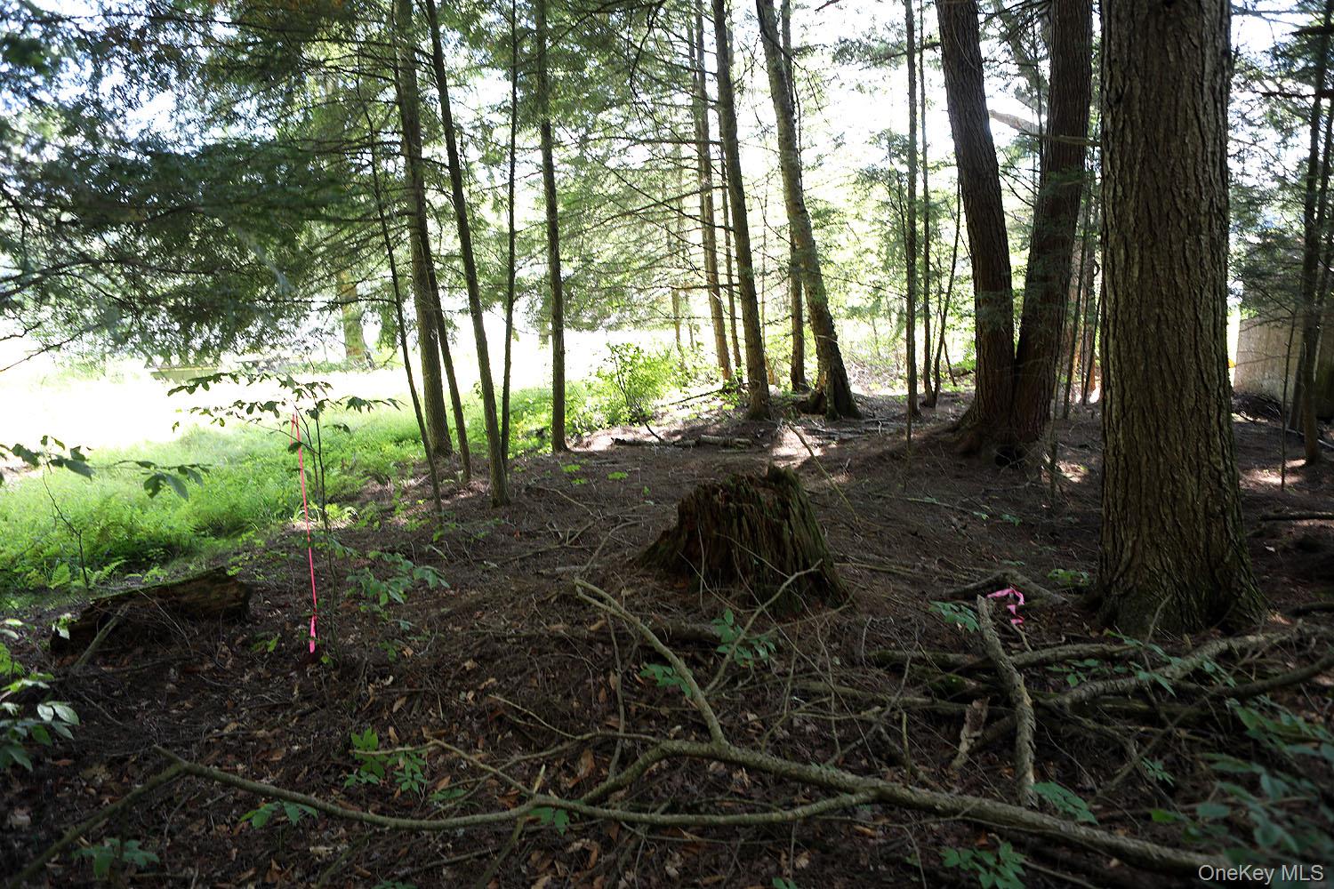 Tbd George Segar Road Swan Lake, NY 12783 - Photo 8 of 10 a view of backyard with green space