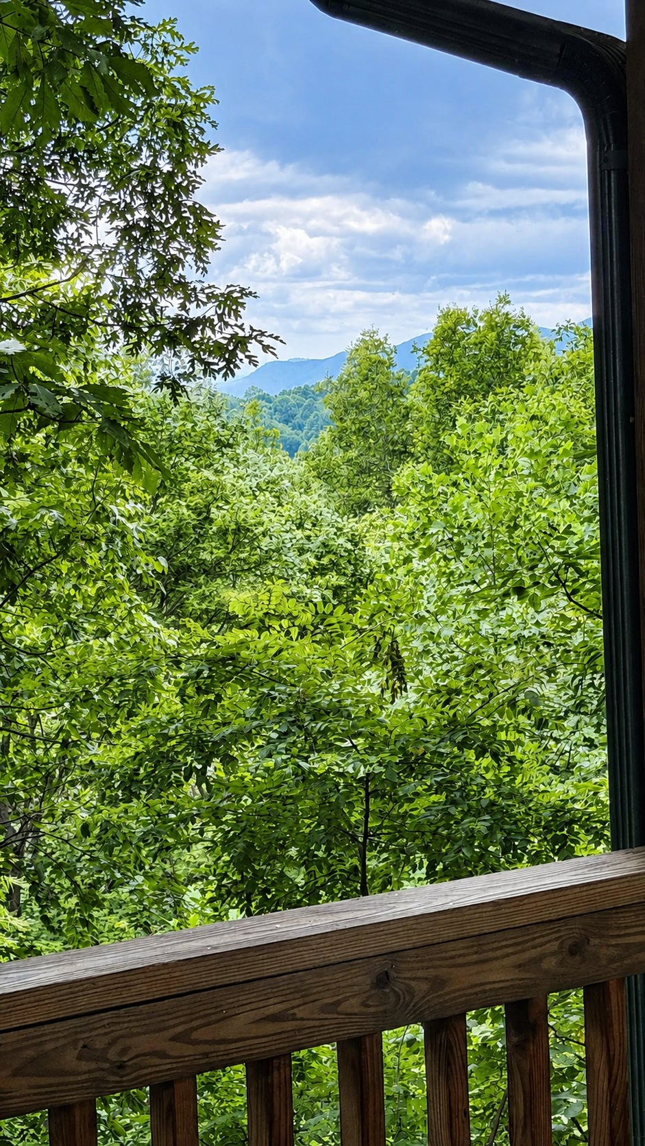 168 Rockledge Road Scaly Mountain, NC 28775 - Photo 9 of 25 Gallery Image 9