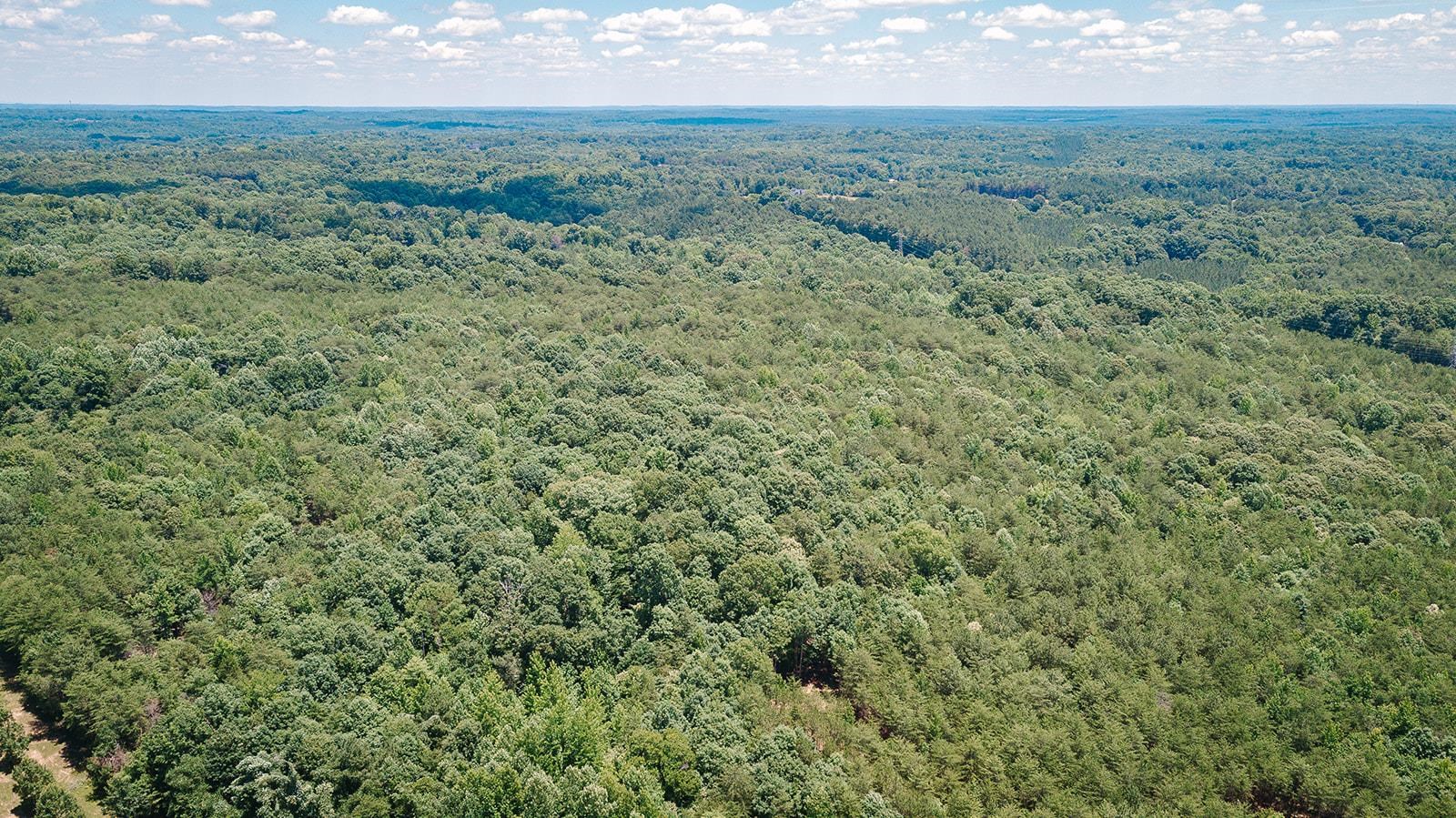 2109 Riddle Road Pauline, SC 29374 - Photo 7 of 11