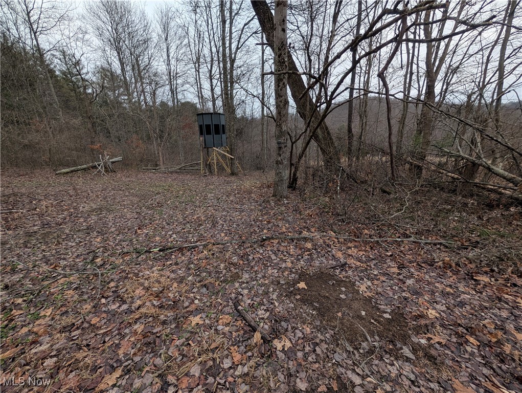 Brown Peavine Road Alledonia, OH 43902 - Photo 25 of 50