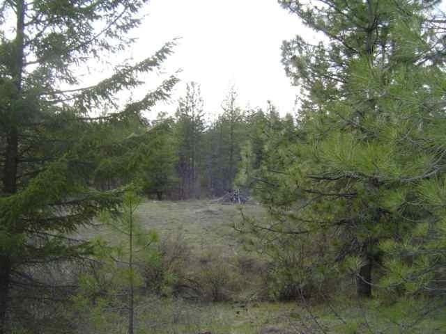 Xxx North Jackson Road Elk, WA 99009 - Photo 1 of 11