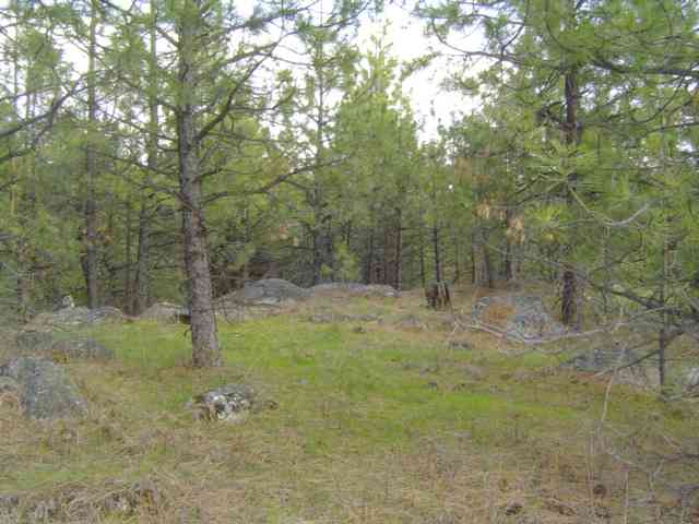 Xxx North Jackson Road Elk, WA 99009 - Photo 2 of 11