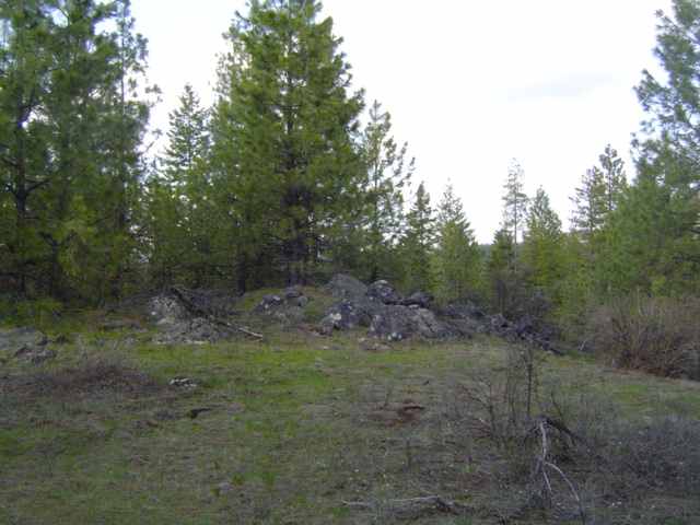 Xxx North Jackson Road Elk, WA 99009 - Photo 3 of 11