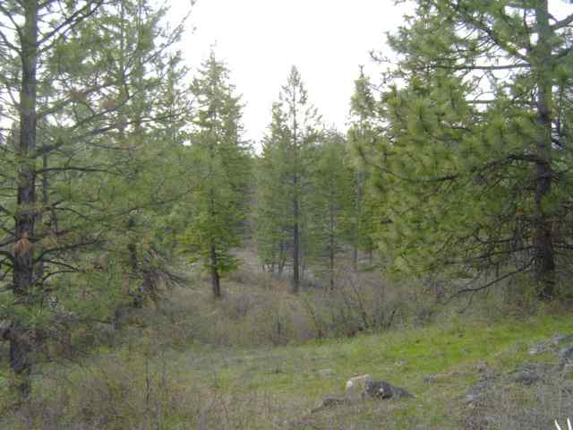 Xxx North Jackson Road Elk, WA 99009 - Photo 4 of 11