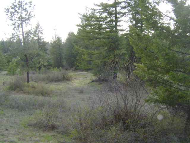 Xxx North Jackson Road Elk, WA 99009 - Photo 6 of 11