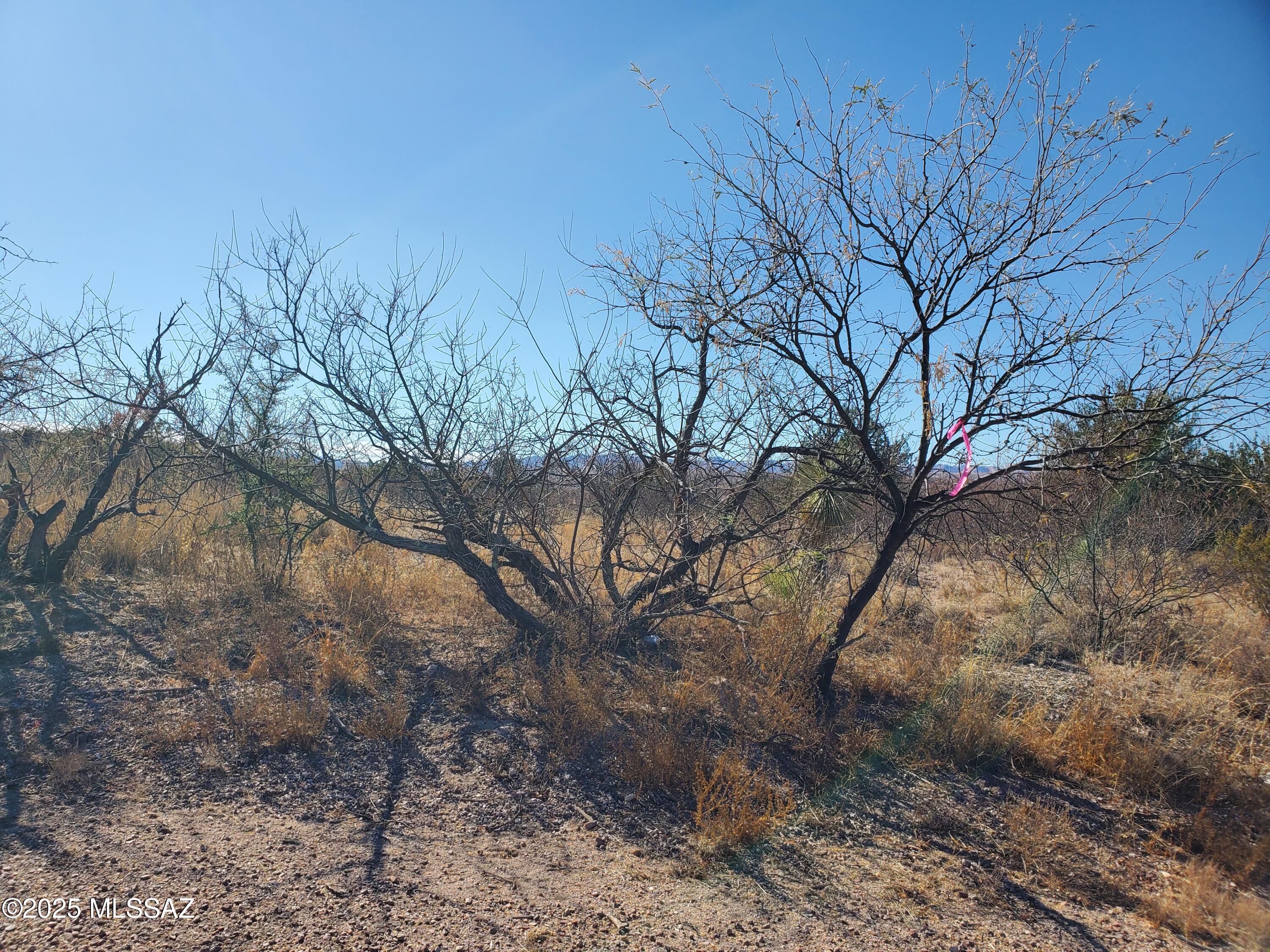 133 Juego Court, Unit 21 Rio Rico, AZ 85648 - Photo 8 of 11