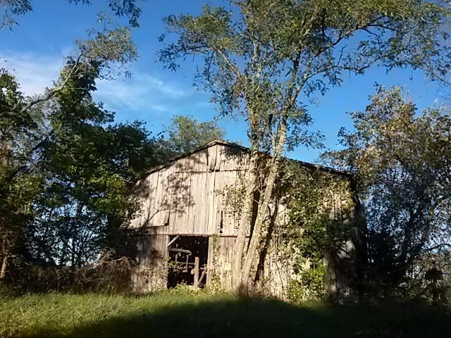 2280 Owenton Road Corinth, KY 41010 - Photo 4 of 30