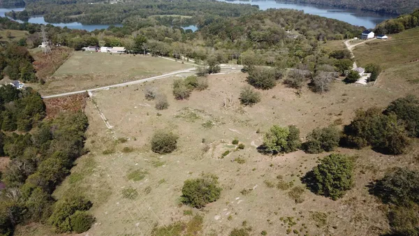 a view of a dry yard with trees
