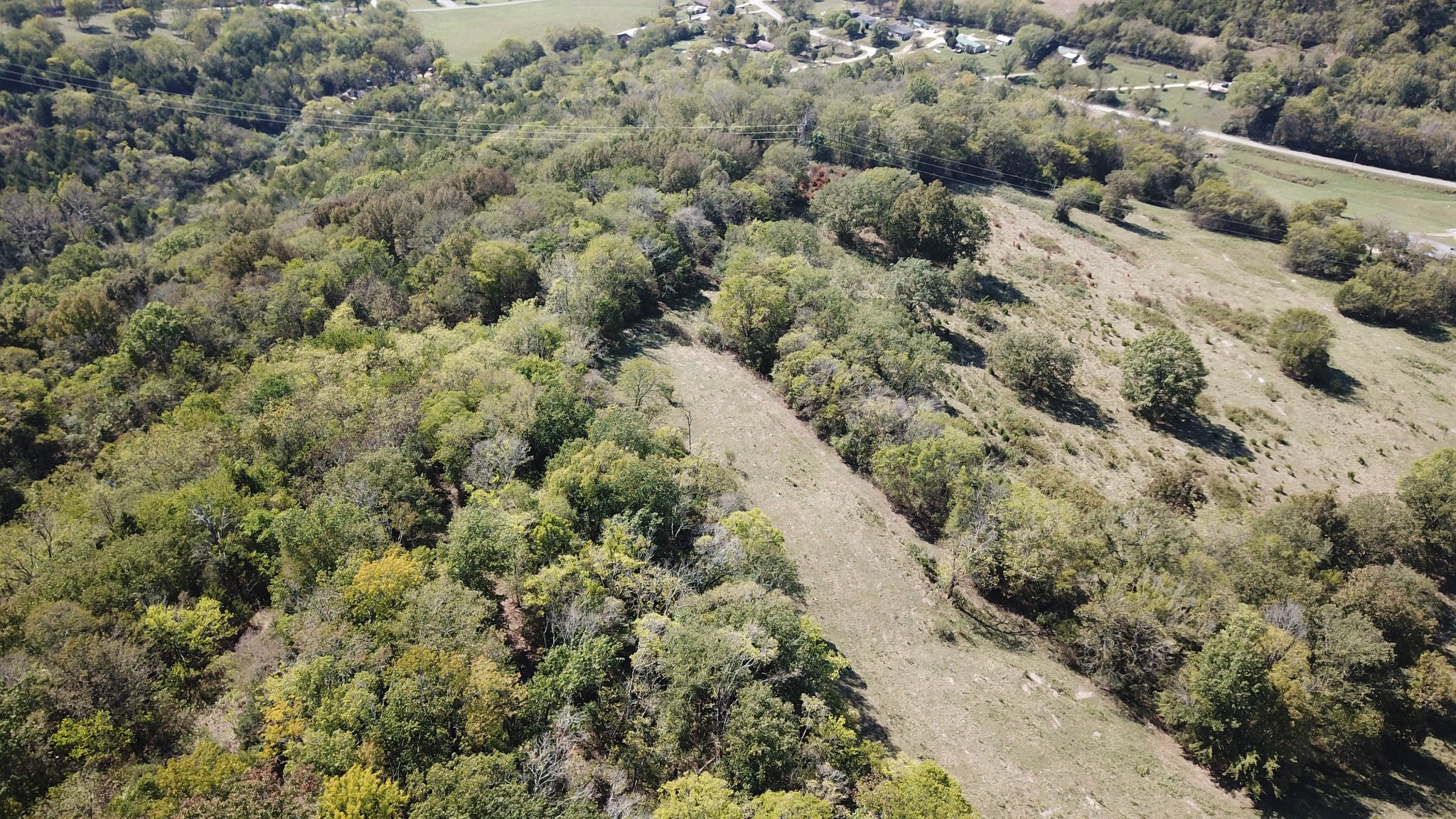 0 Sullivan Bend Road Elmwood, TN 38560 - Photo 15 of 34 a view of a forest with a forest