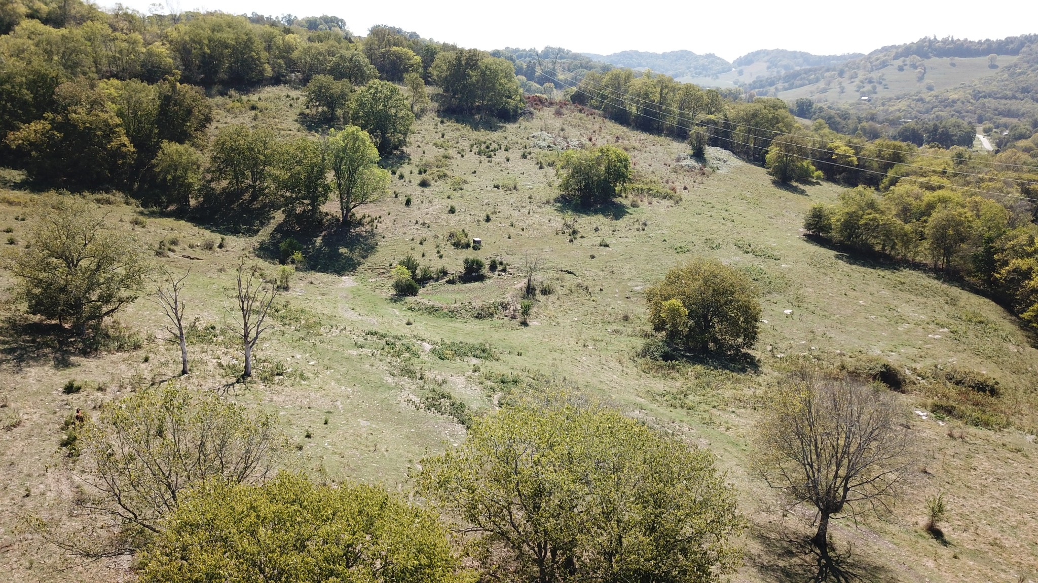 0 Sullivan Bend Road Elmwood, TN 38560 - Photo 32 of 34 a view of a dry field with trees in the background