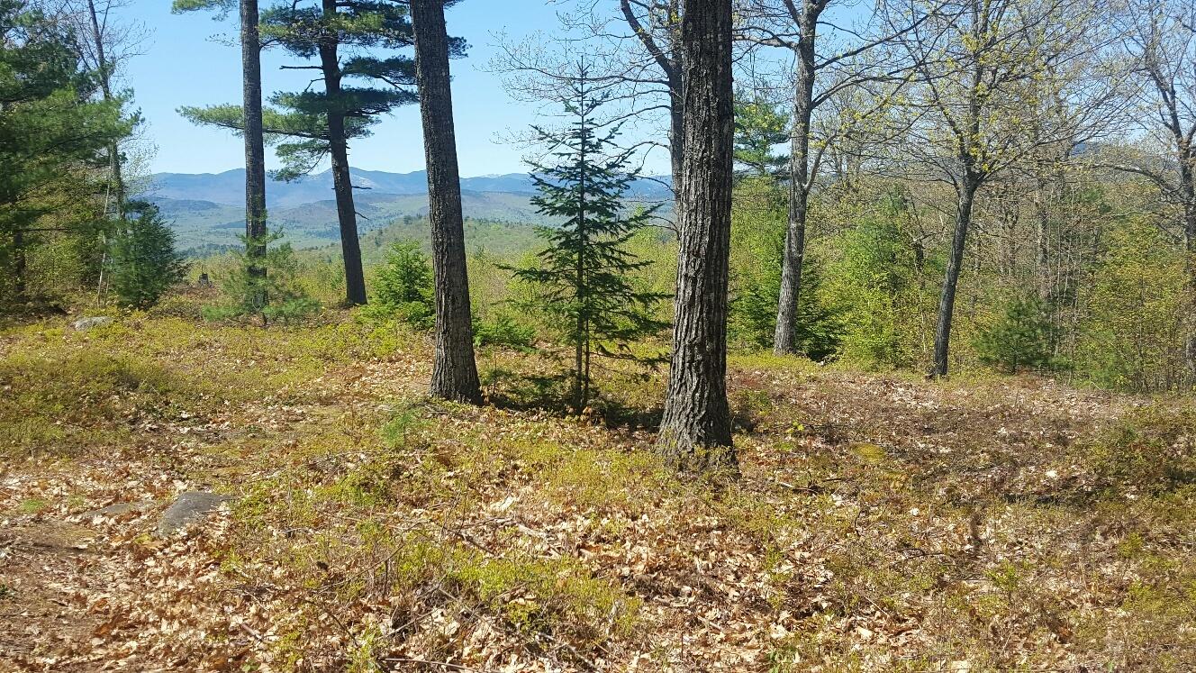 87 Stevens Road Stoneham, ME 04231 - Photo 8 of 19 januumsentrytop