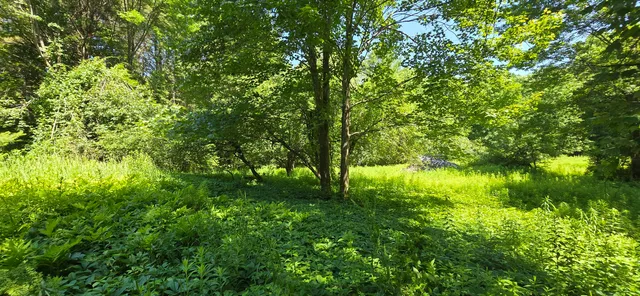 $185,000 | 16-2 Wilson Road, Gorham, ME 04038