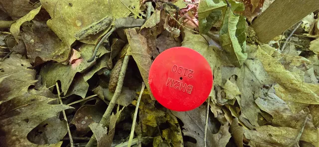 $185,000 | 16-2 Wilson Road, Gorham, ME 04038