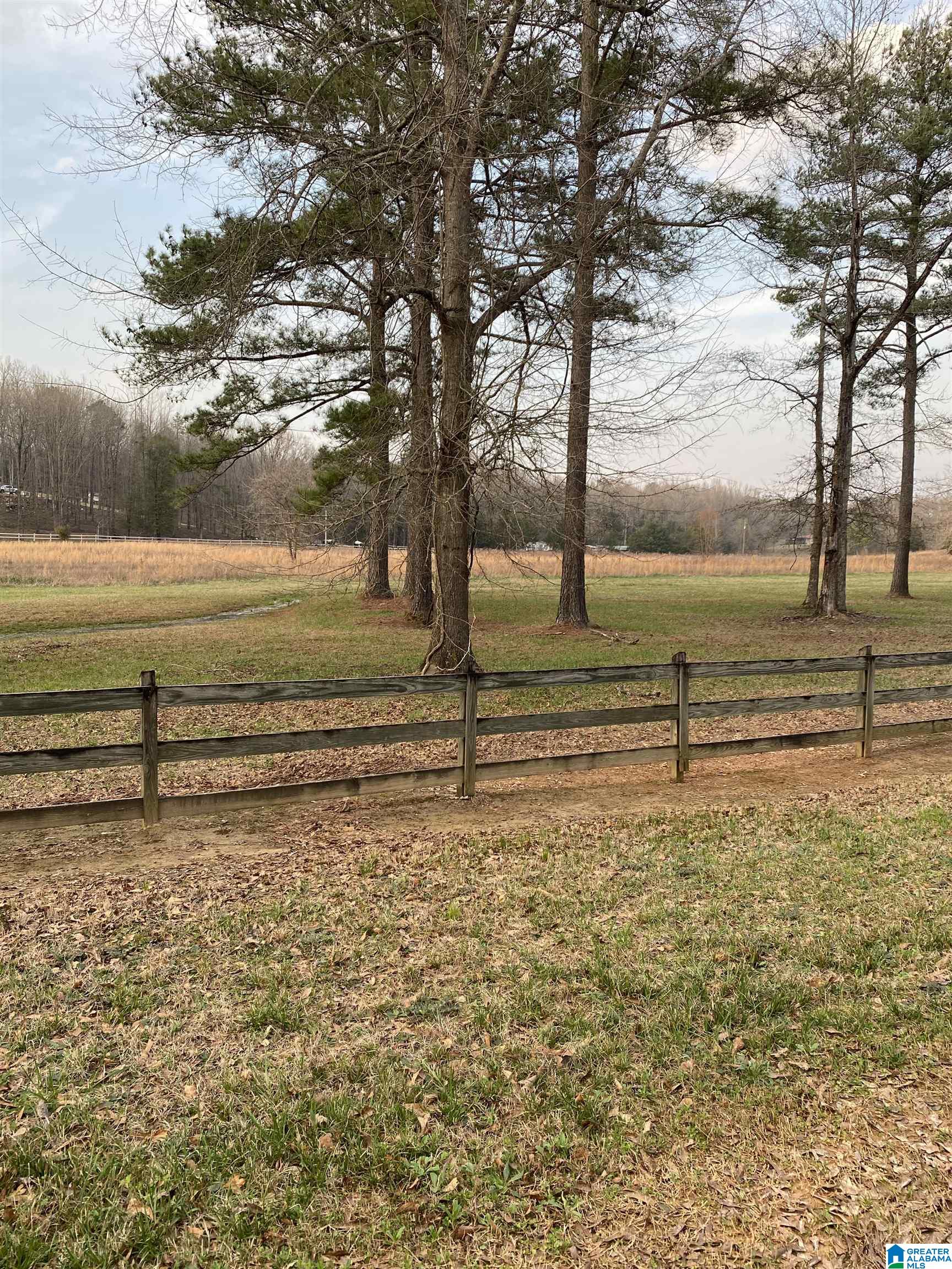 Bridlewood Farms Road, Unit 2 Montevallo, AL 35115 - Photo 1 of 25