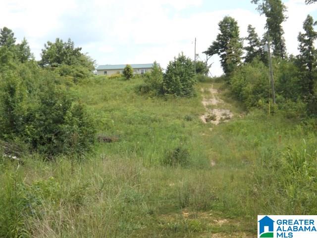 0 Shoal Creek Road Ashville, AL 35953 - Photo 13 of 25