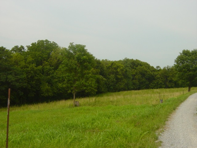 South Ripl SOUTH Ripl Road Dover, KY 41034 - Photo 4 of 14 Gallery Image 4