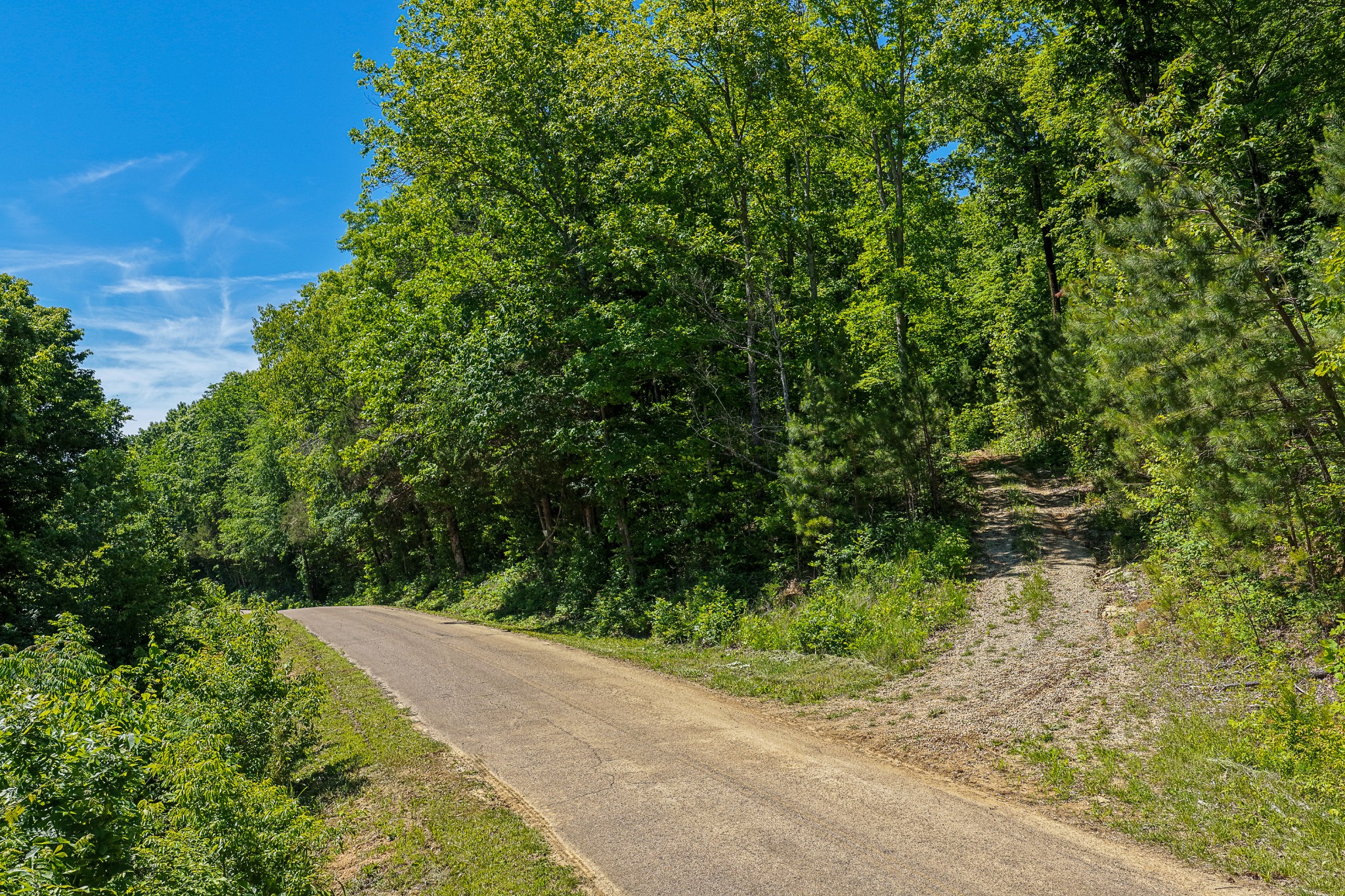 0 Mayberry Prong Road Linden, TN 37096 - Photo 3 of 24