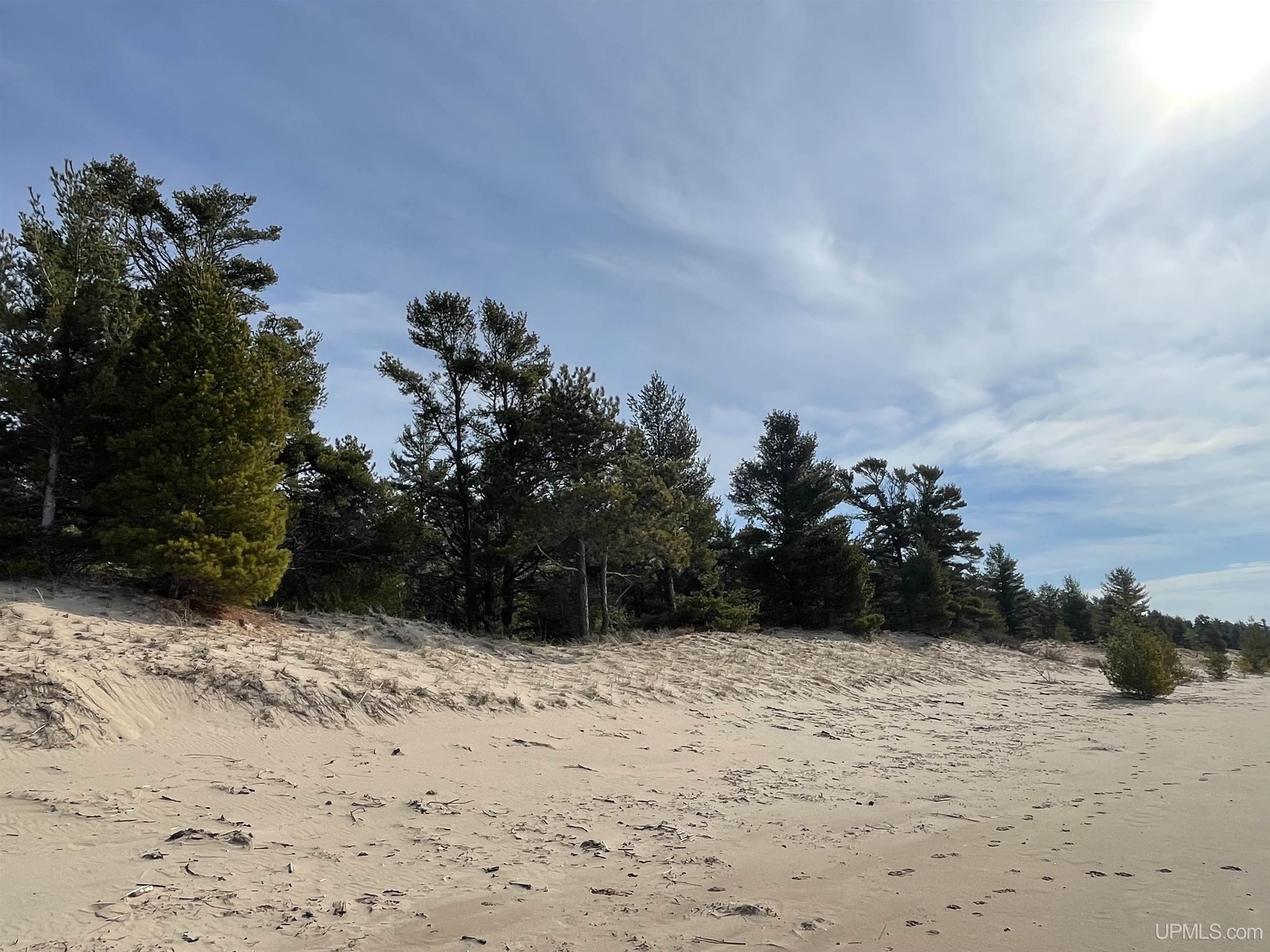 4264-ff Top O The Lake Road Gulliver, MI 49840 - Photo 15 of 80