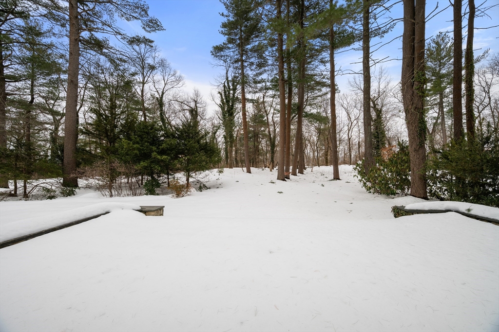 32 Moon Hill Road Lexington, MA 02421 - Photo 26 of 34