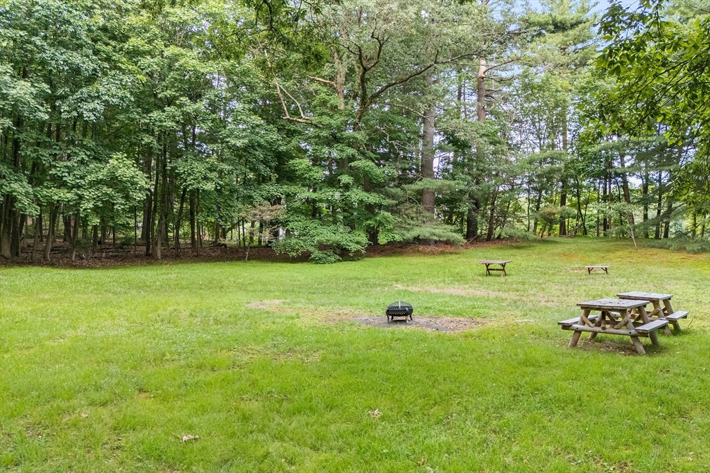 32 Moon Hill Road Lexington, MA 02421 - Photo 31 of 34 a view of a field with a tree