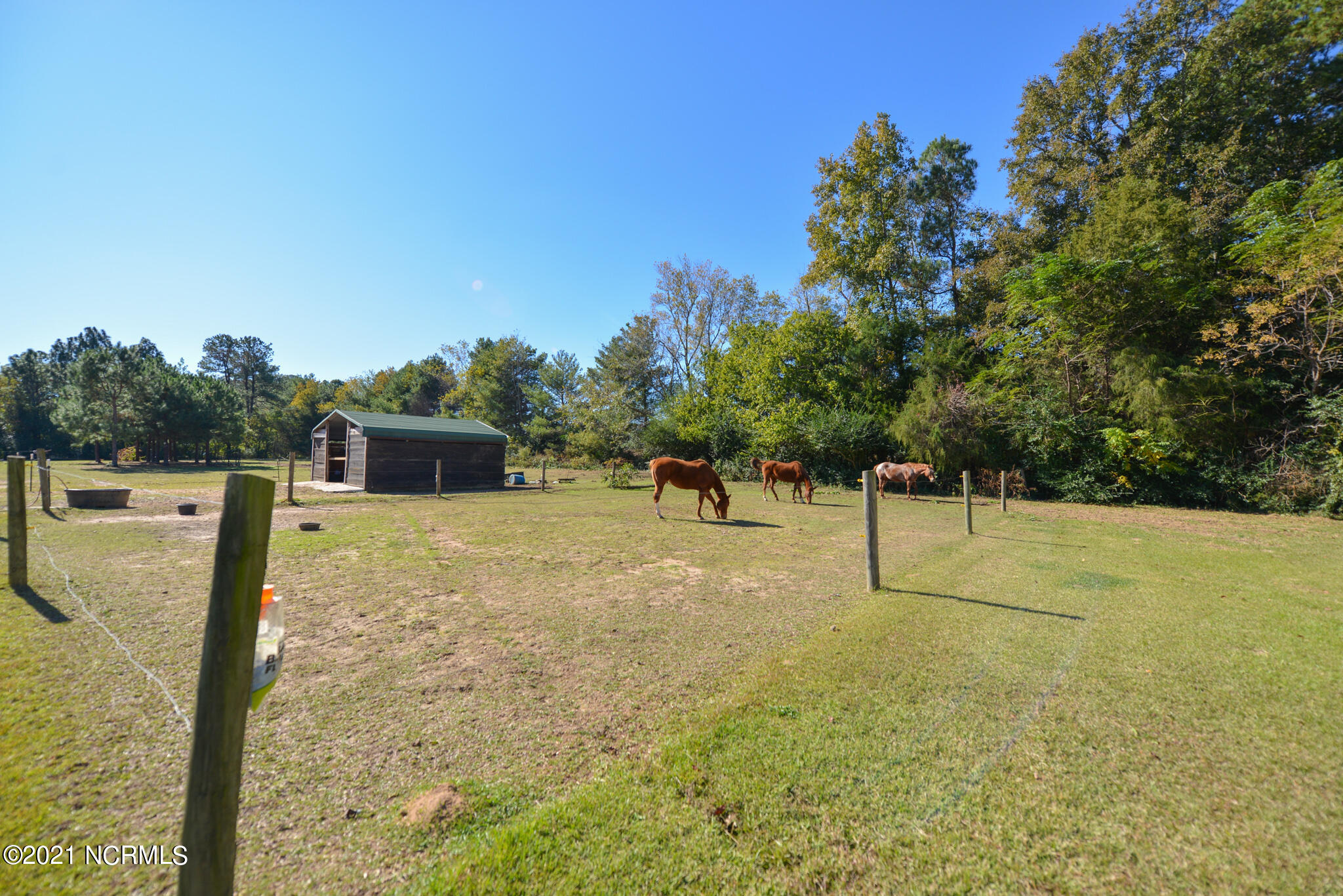 7657 High Road Sims, NC 27880 - Photo 36 of 43 036