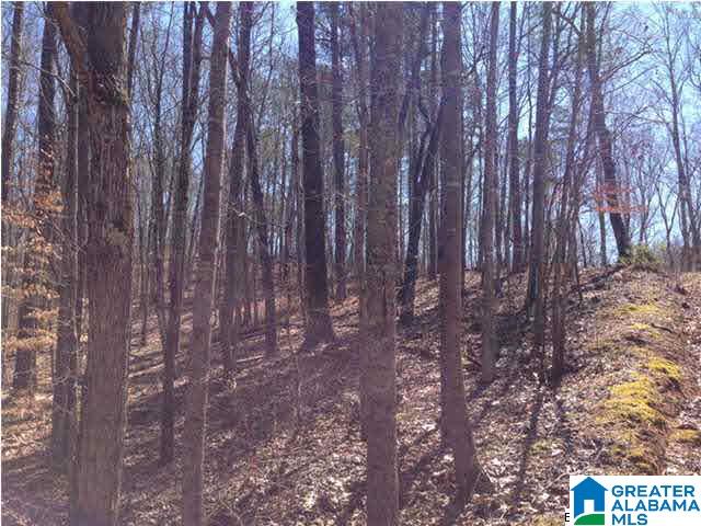 0 Woolfolk Road, Unit 3 ACRES Munford, AL 36268 - Photo 23 of 24