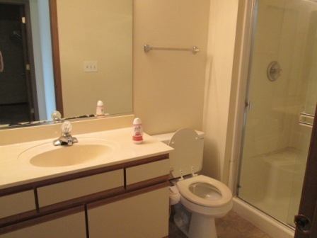 2098 Constitution Court, Unit 4 Elgin, IL 60123 - Photo 7 of 13