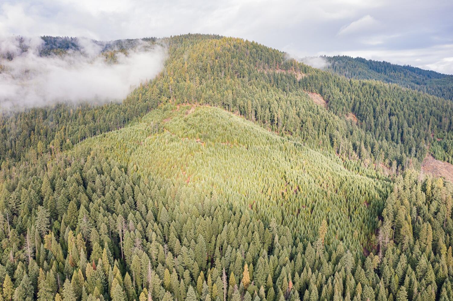River Road Trail, OR 97541 - Photo 5 of 20 DJI_0924HDR27