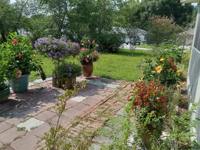 a big yard with lots of green space and trees