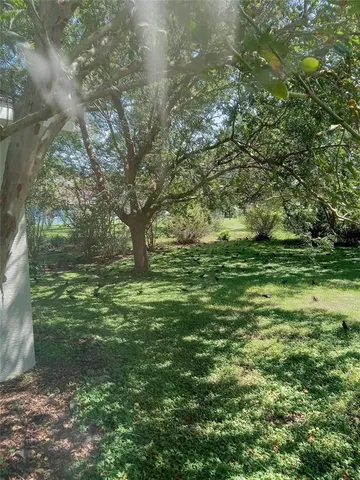 a view of yard with flowers and trees