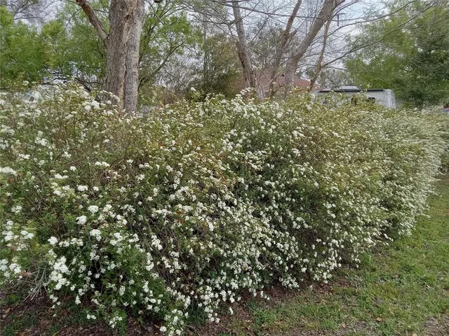 $274,900 | 3061 Northwest 49th Avenue, Ocala, FL 34482