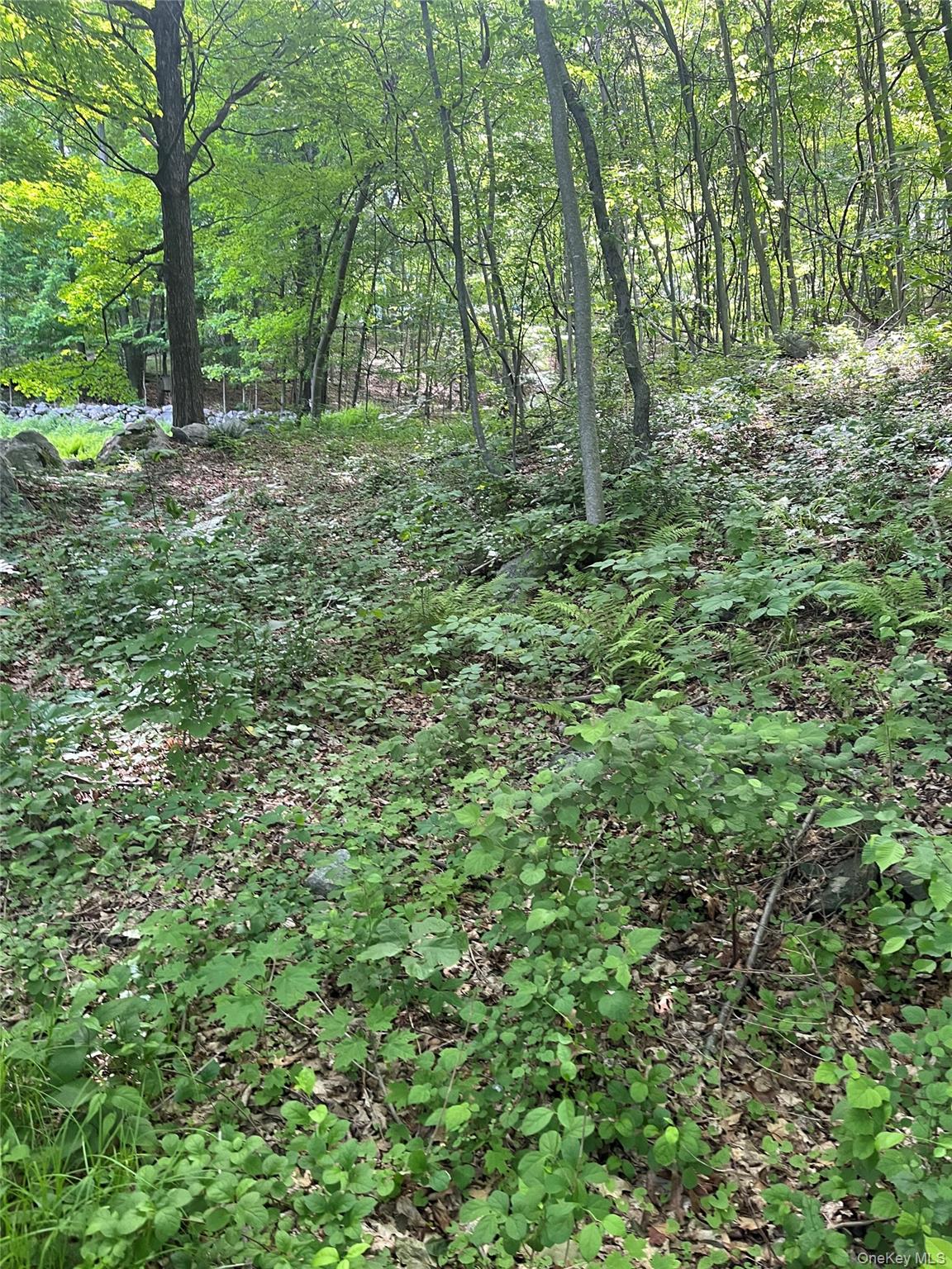 Old Church Road Putnam Valley, NY 10579 - Photo 23 of 26 a view of outdoor space and trees