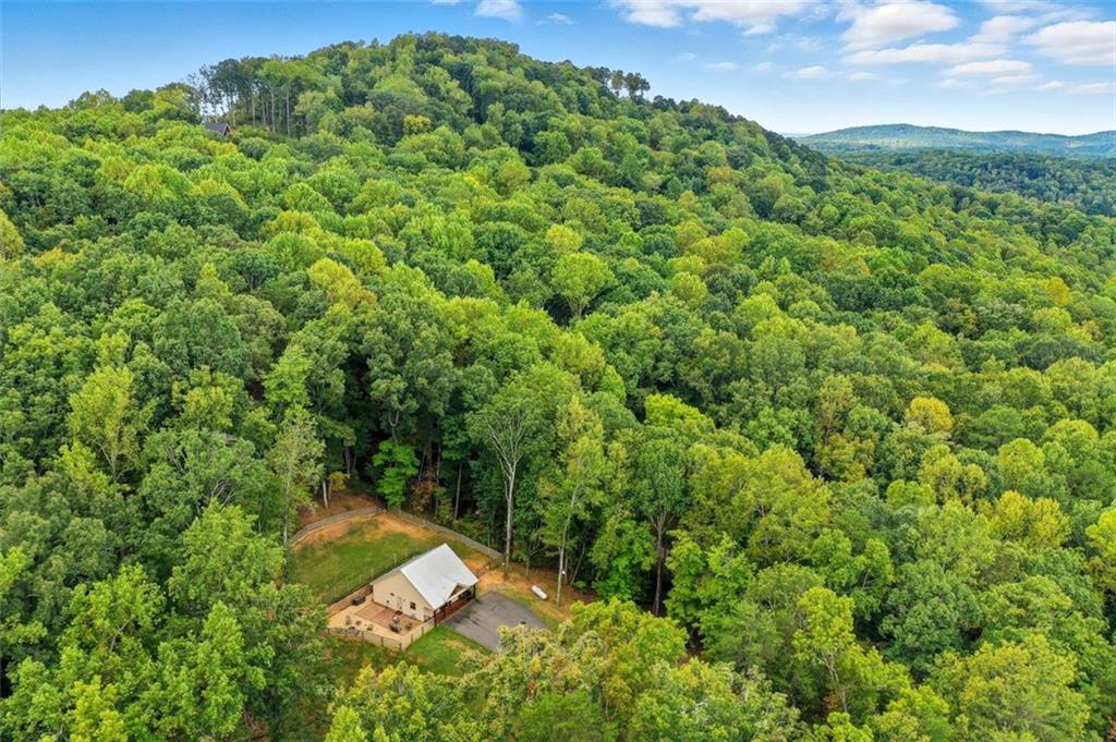 415 Woods Road Talking Rock, GA 30175 - Photo 24 of 28