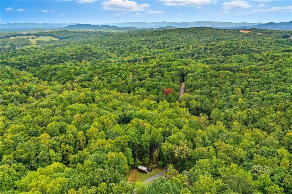 415 Woods Road Talking Rock, GA 30175 - Photo 26 of 28