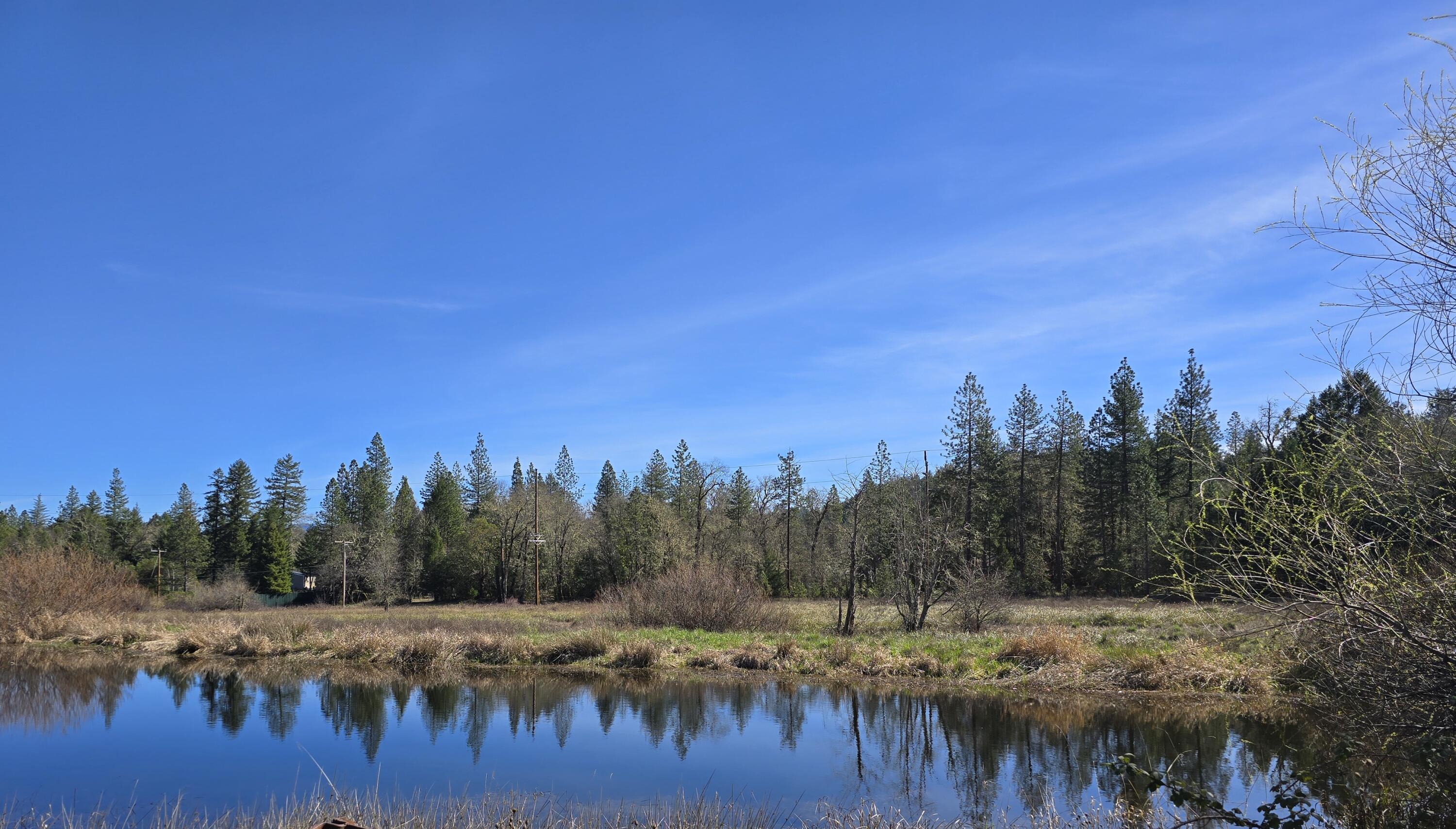 147 Warren Road Selma, OR 97538 - Photo 2 of 16 a view of lake and trees
