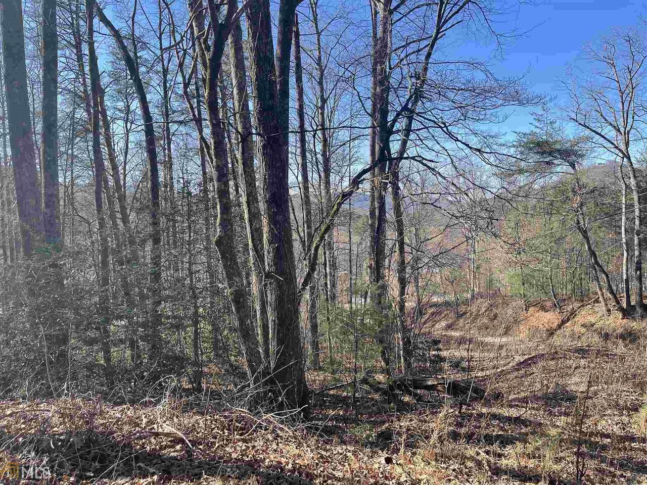 1215 Rainbow Ridge Road, Unit 12 & 15 Hiawassee, GA 30546 - Photo 1 of 1 Gallery Image 1