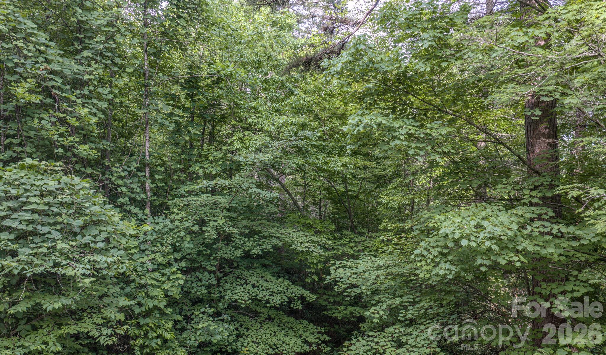 4733 Bat Cave Road Old Fort, NC 28762 - Photo 36 of 36