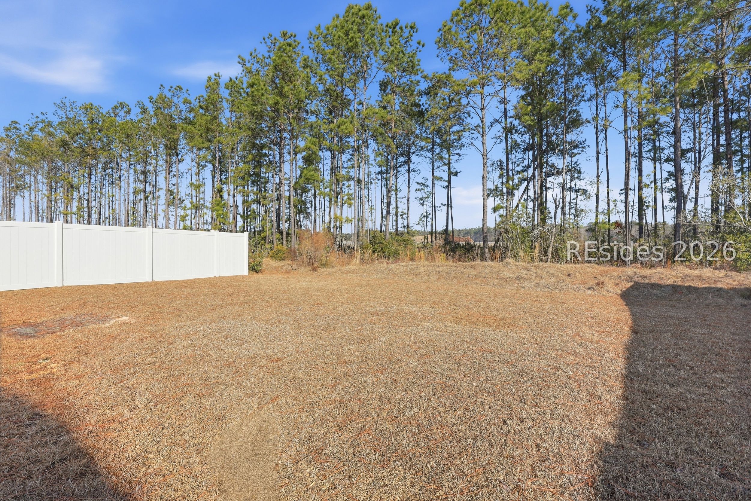 2047 Sanctum Street Ridgeland, SC 29936 - Photo 20 of 31
