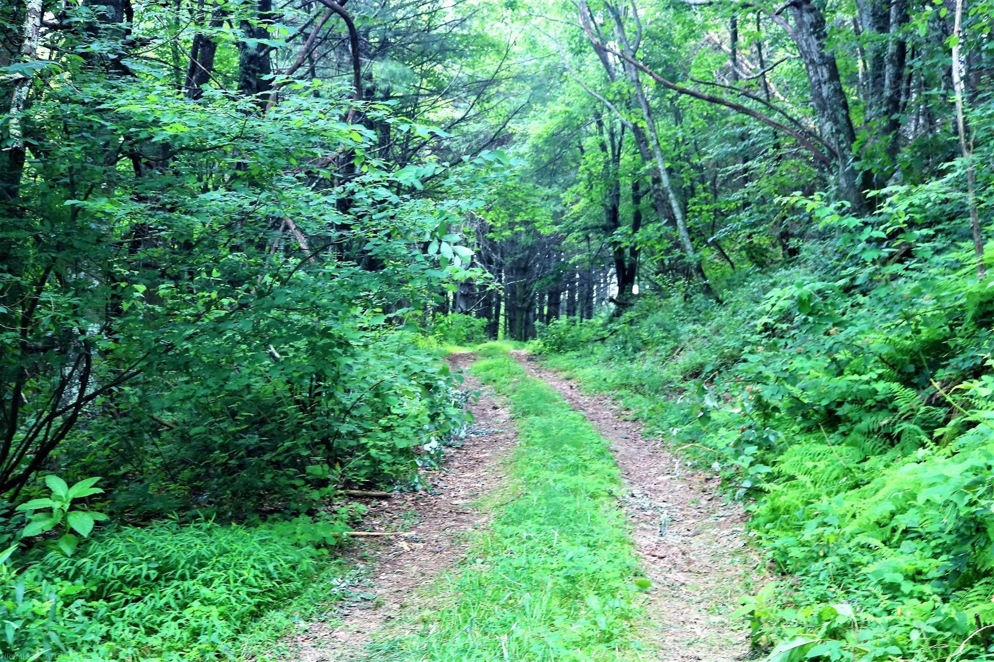 0 Black Ridge Road Southwest Floyd, VA 24091 - Photo 24 of 34 Gallery Image 24