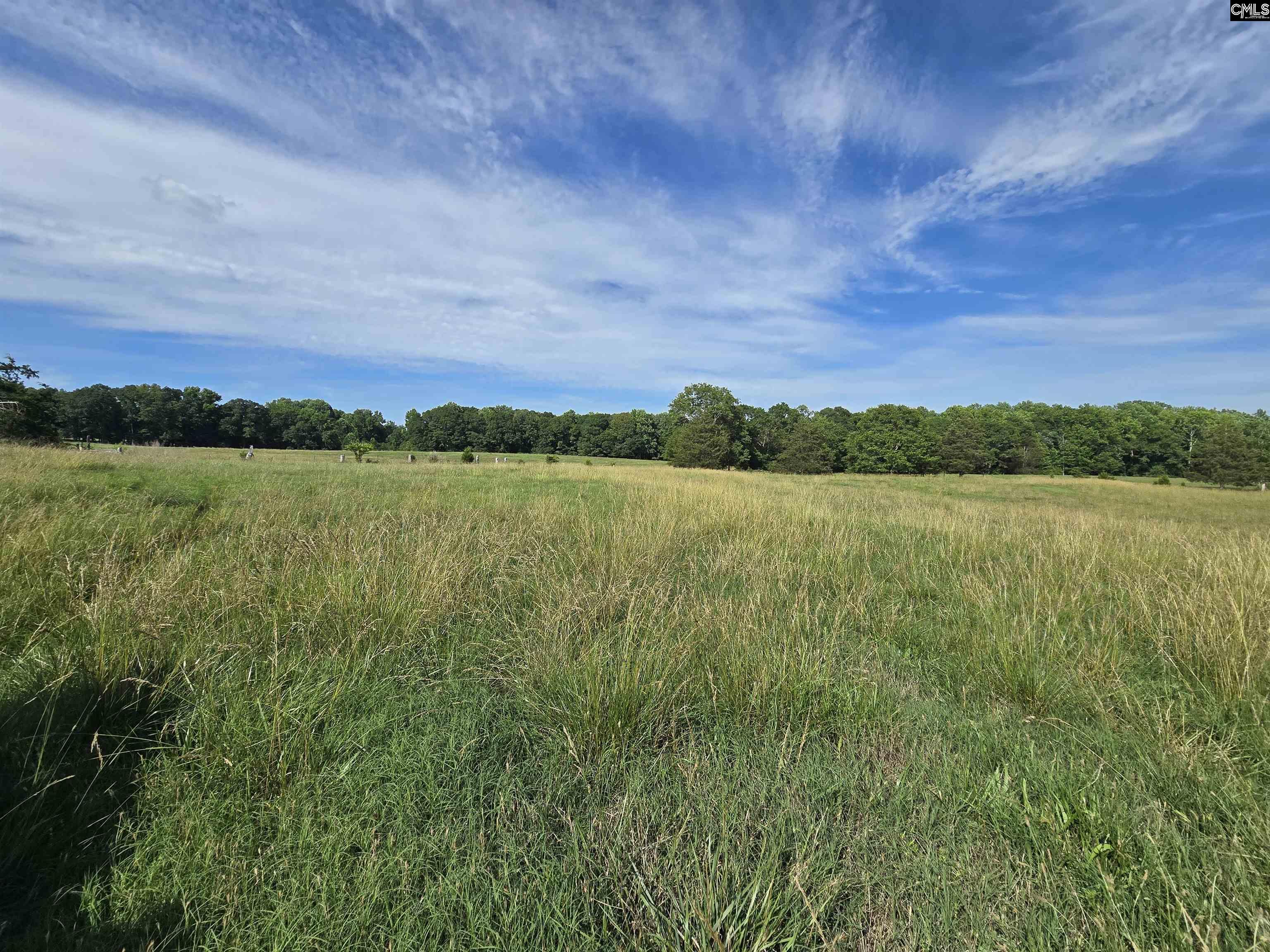 542 Pea Ridge Highway Jonesville, SC 29353 - Photo 62 of 72