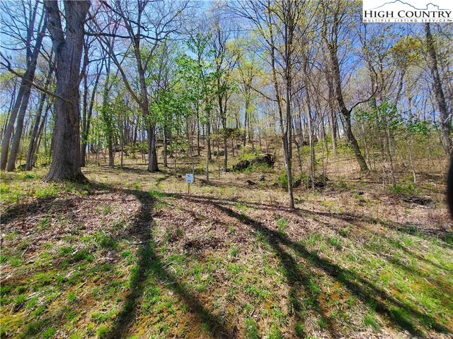 $65,000 | Soothing Waters Drive, Todd, NC 28684