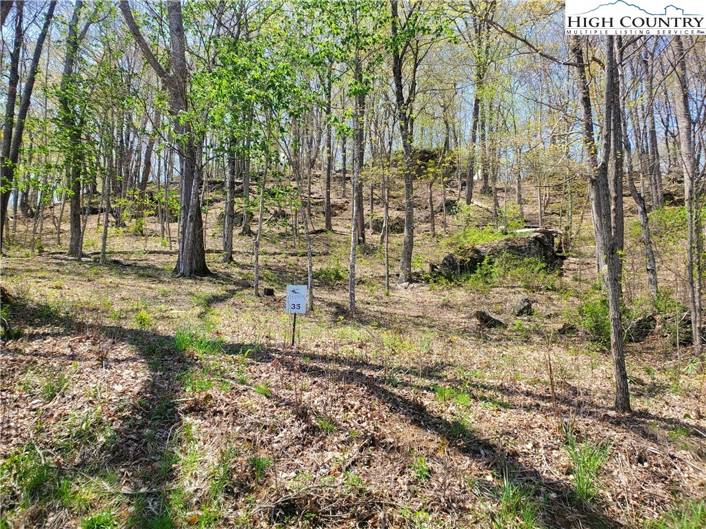 Soothing Waters Drive Todd, NC 28684 - Photo 2 of 18