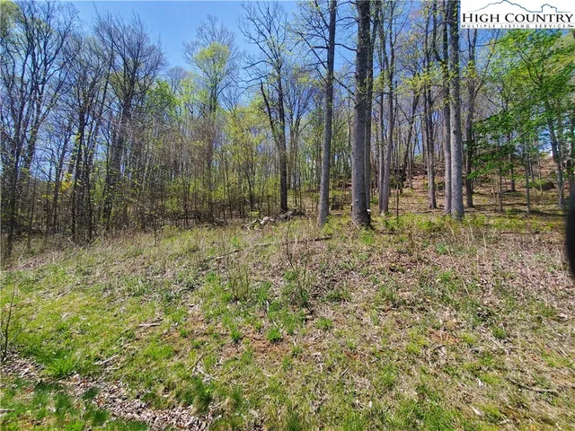 $65,000 | Soothing Waters Drive, Todd, NC 28684