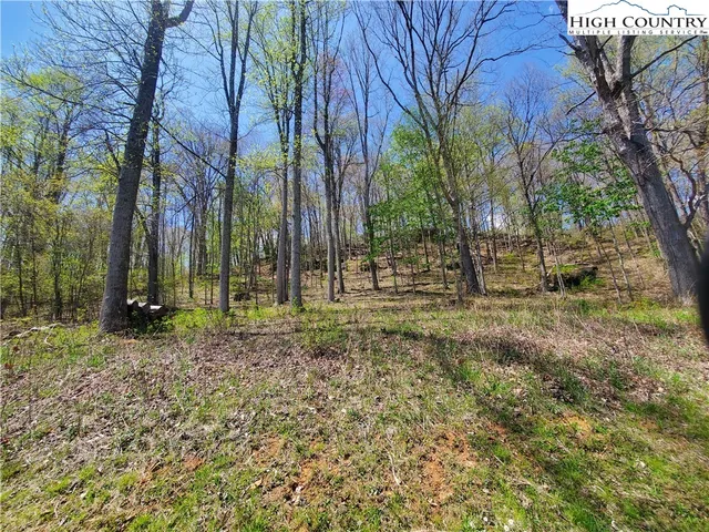 $65,000 | Soothing Waters Drive, Todd, NC 28684