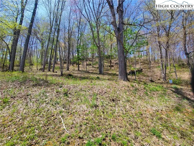 $65,000 | Soothing Waters Drive, Todd, NC 28684