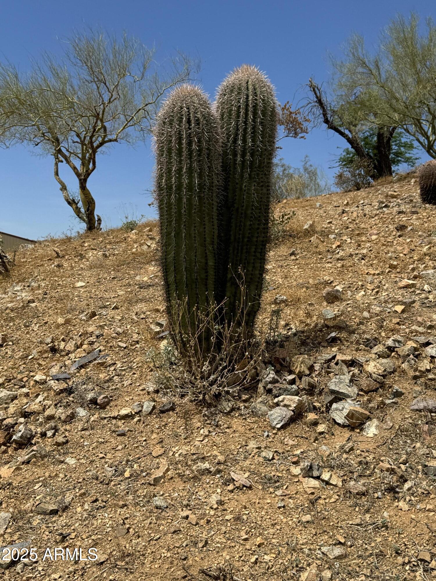 42213 North 3rd Street Phoenix, AZ 85086 - Photo 16 of 69 IMG_6576