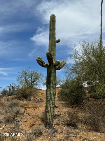 $575,000 | 42213 North 3rd Street, Phoenix, AZ 85086