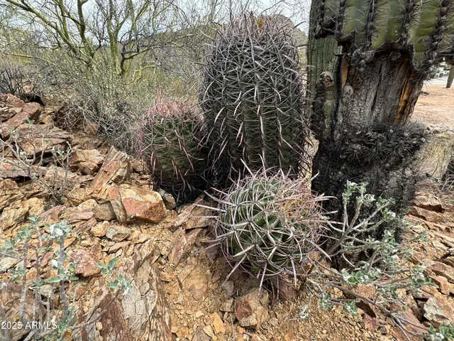 $575,000 | 42213 North 3rd Street, Phoenix, AZ 85086