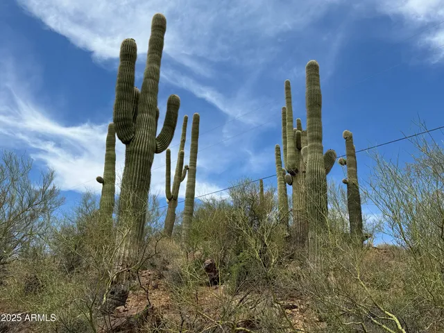 $575,000 | 42213 North 3rd Street, Phoenix, AZ 85086